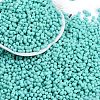Baking Paint Glass Seed Beads X1-SEED-K010-A19-1
