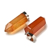 Natural Red Agate(Dyed & Heated) Pendants G-Z067-07P-16-3