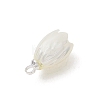Natural Trochus Shell Pendants PALLOY-JF05371-3