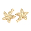 Alloy Pendants RB-CBA83D5-19G-3