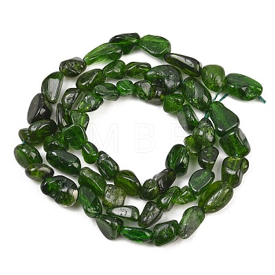 Natural Green Diopside Beads Strands G-G464-A01-01-1
