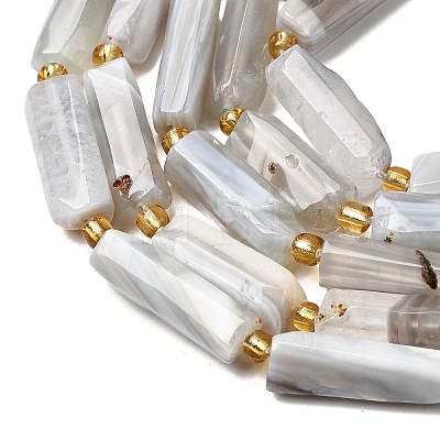 Natural Botswana Agate Beads Strands G-D353-A11-1