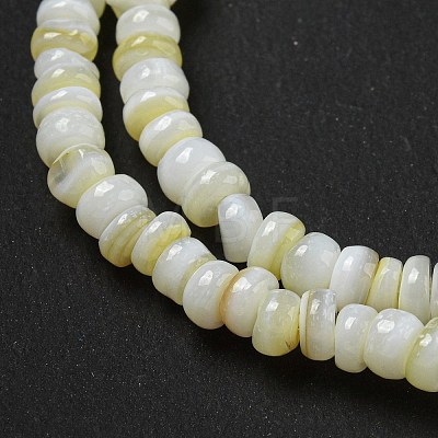 Dyed Natural Freshwater Shell Beads Strands BSHE-G039-07N-1