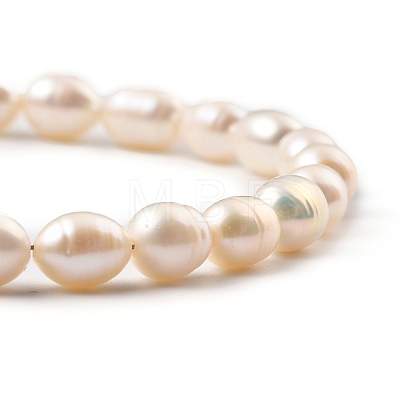 Natural Cultured Freshwater Pearl Beaded Bracelets BJEW-JB05325-01-1