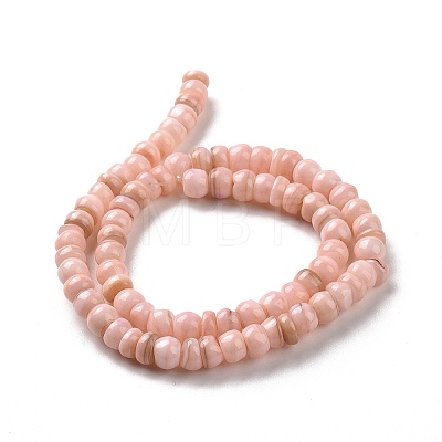 Natural Cultured Freshwater Shell Beads Strands SHEL-F002-01-1