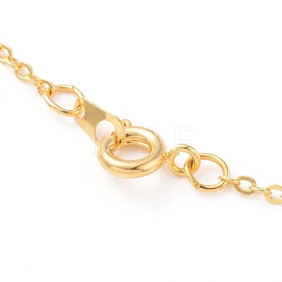 Natural Gemstone Pendant Necklace & Dangle Earrings Jewelry Sets SJEW-JS01060-1