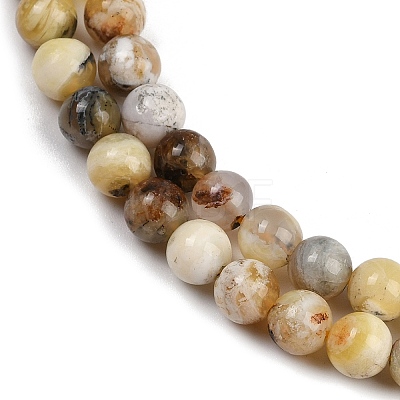 Natural Yellow Opal Beads Strands G-G992-A02-B-1