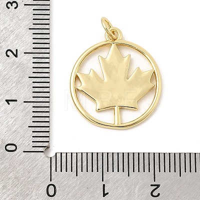 Brass Pendants KK-Z147-13G-1