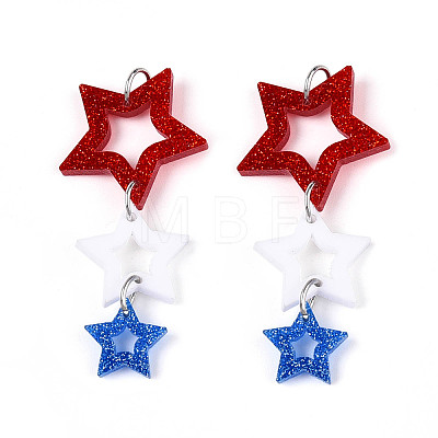 Acrylic Big Pendants OACR-N144-04-1