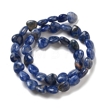 Natural Sodalite Beads Strands G-R190-10mm-37-1