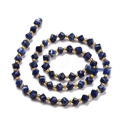 Natural Sodalite Beads Strands G-P463-03-1