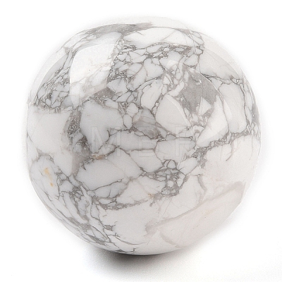 Natural Howlite Sphere Beads G-I367-07F-1