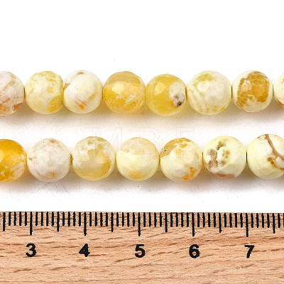 Natural Fire Crackle Agate Bead Strands G-K166-07F-8mm-07-1