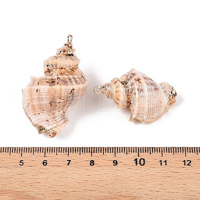 Natural Sea Shell Pendants SSHEL-N038-53-1