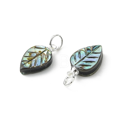 Natural Paua Shell/Abalone Shell Carved Pendants PALLOY-JF05615-02-1