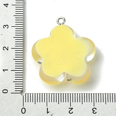 Translucent Resin Pendants RESI-P039-01P-1