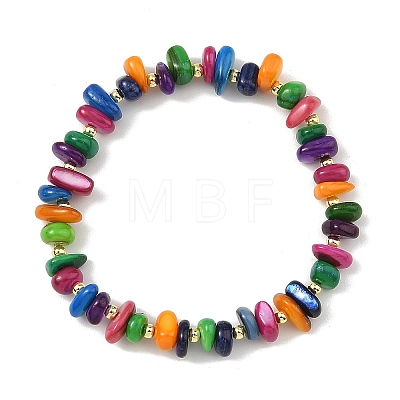 Dyed Natural Freshwater Shell Chip & Brass Beades Stretch Bracelets BJEW-JB14232-1
