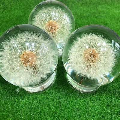 Glass Dandelion Crystal Ball PW-WG71865-01-1