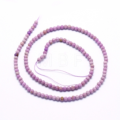Natural Lepidolite/Purple Mica Beads Strands G-G823-16-3mm-1