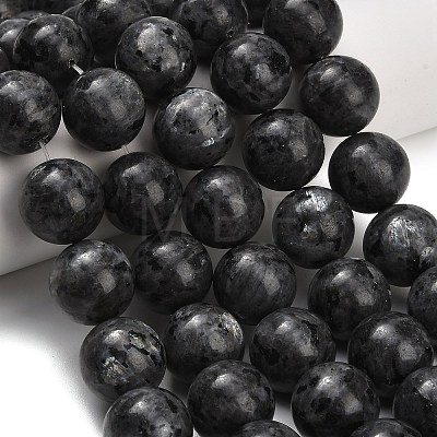 Natural Larvikite Beads Strands GSR20mmC128-1