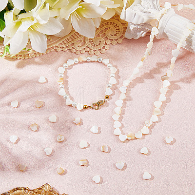 2 Strands Natural Freshwater Shell Beads Strands SHEL-SC0001-85C-1