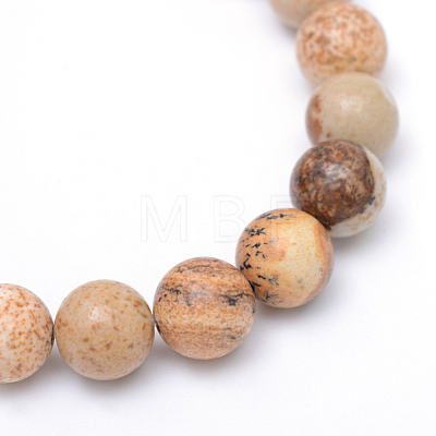 Round Natural Picture Jasper Bead Strands G-R345-8mm-19-1