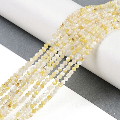 Natural Shell Pearl Beads Strands BSHE-H109-12A-1
