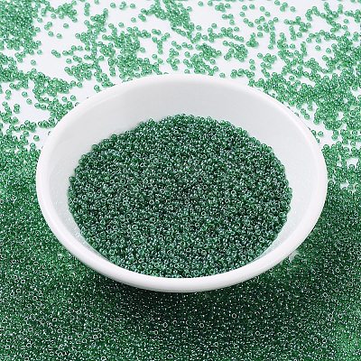 MIYUKI Round Rocailles Beads X-SEED-G007-RR0173-1