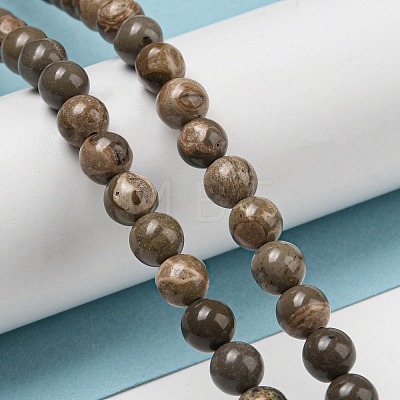 Natural Map Stone/Picasso Stone Beads Strands G-R494-A24-02-1