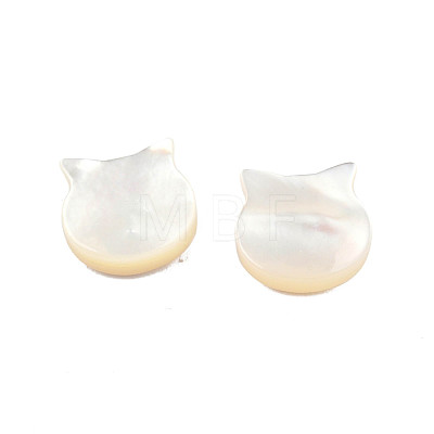 Natural White Shell Beads SSHEL-N003-142-1