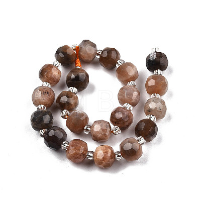 Natural Black Sunstone Beads Strands G-N327-08P-1