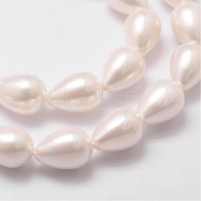 Rainbow Plated Shell Pearl Beads Strands BSHE-L027-01-6x9-1