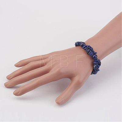 Natural Gemstone Chip Beads Bracelets BJEW-JB02807-1