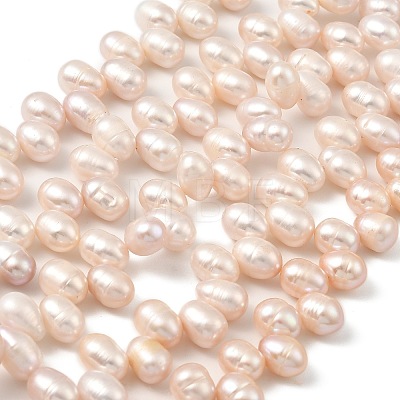 Natural Cultured Freshwater Pearl Beads Strands PEAR-I007-04E-03C-1