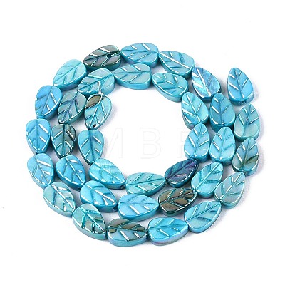Natural Freshwater Shell Carved Beads Strands SHEL-N038-25B-1