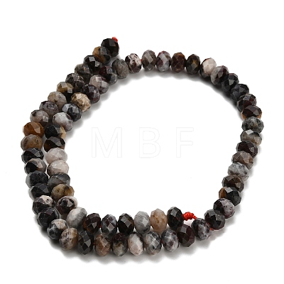Natural Gemstone Beads Strands G-Z111-A34-1