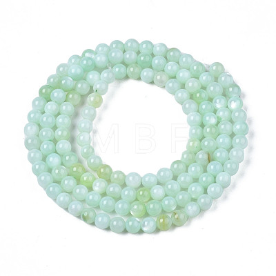 Natural Freshwater Shell Beads Strands BSHE-T009A-01D-1