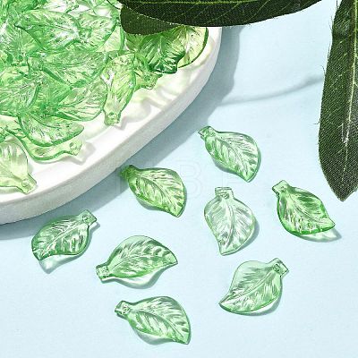 Transparent Acrylic Pendants DBLA156-8-1
