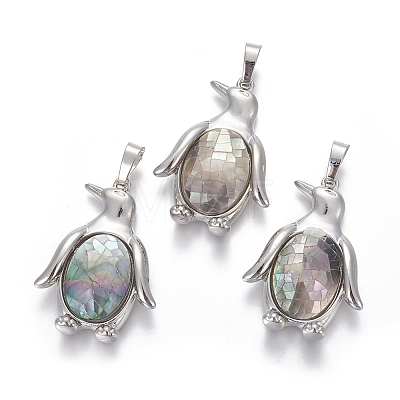 Shell Pendants SHEL-L009-A-1