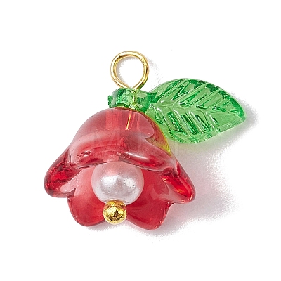 Mixed Color Glass Pearl & Acrylic Charms PALLOY-JF02567-02-1