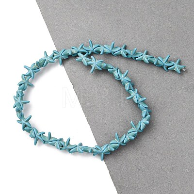 Synthetic Turquoise Dyed Beads Strands G-B184-C02-02-1