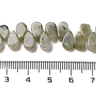 Natural Labradorite Beads Strands G-B064-B62-1