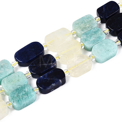 Natural Sodalite & Flower Amazonite & Lemon Quartz Beads Strands G-N358-02A-07-1
