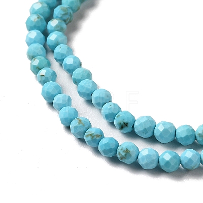 Natural Howlite Beads Strands G-C025-03B-02-1