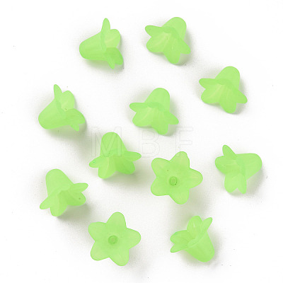 Transparent Acrylic Beads PLF018-05-1