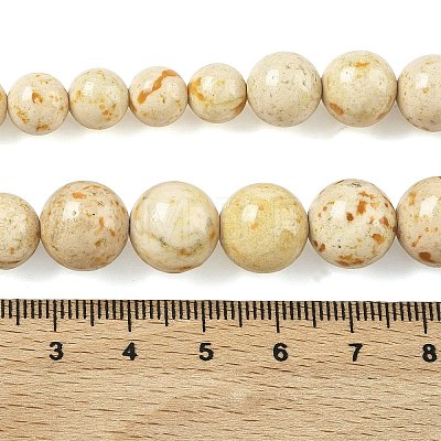 Natural Fossil Graduated Beads Strands G-F830-A03-01A-1