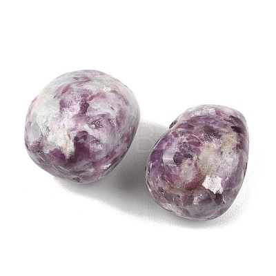 Natural Lepidolite Beads G-G348-01B-18-1