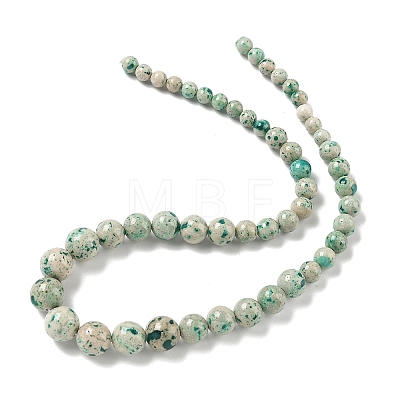 Natural Fossil Graduated Beads Strands G-F830-A03-01C-1