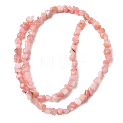 Natural Freshwater Shell Beads Strands SHEL-A006-07-1