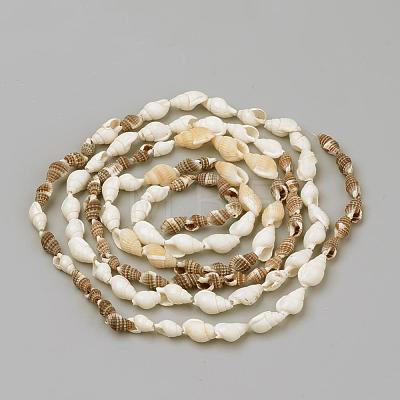 Natural Sea Shell Beads Strands SSHEL-R043-05-1